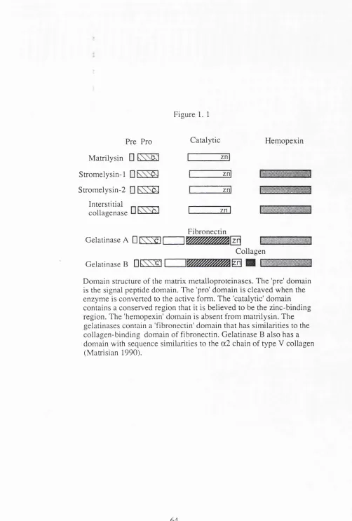 Figure 1. 1Catalytic