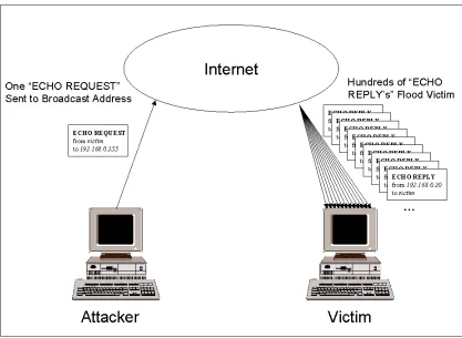 Figure 6-2: The Internet is Used to Amplify a Ping Flood and Create a Smurf Attack