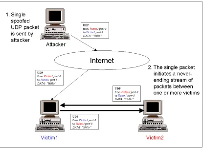 Figure 6-3: UDPStorm is Triggered by a Single Spoofed Packet