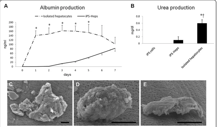 Figure 3 Result of permeability assay of membranes with three different pore sizes.separate albumin and IgG