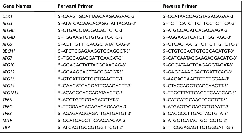Table 1 The sequences of primers used in this study