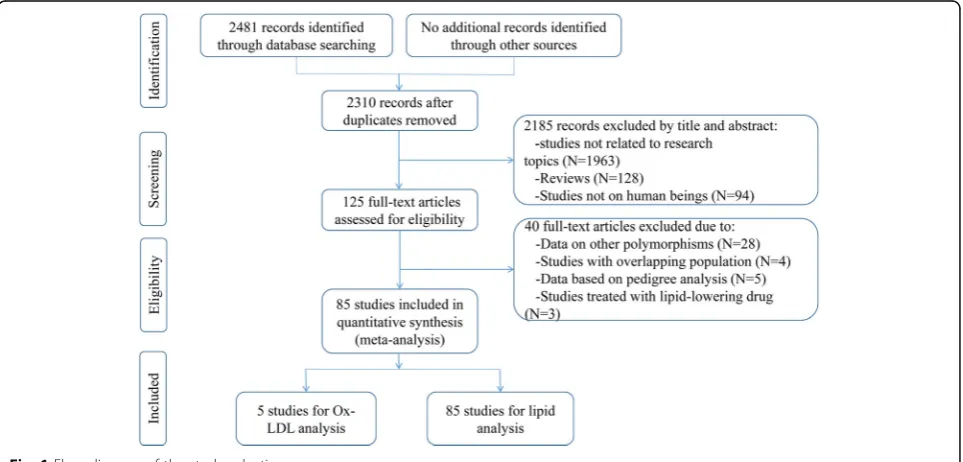 Fig. 1 Flow diagram of the study selection process