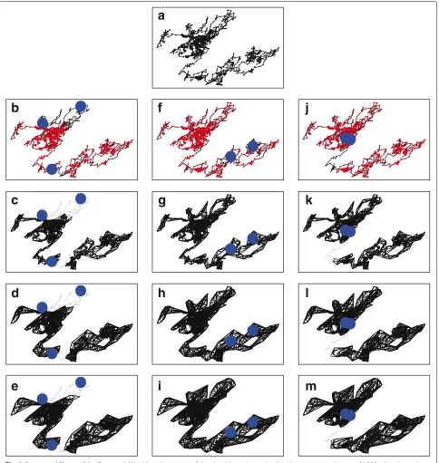 Fig. 1 Conceptual Figure of the Proposed Algorithm. A test case of the algorithm using a simulated movement trajectory of 1000 relocation pointsnot originally covered by the hull set at smallerbeing covered at higher(a)