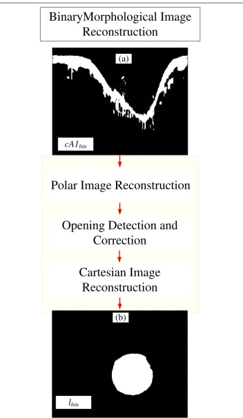 Figure 6 Binary morphological reconstruction blocks. (a) cA1bin, the binary tissue information