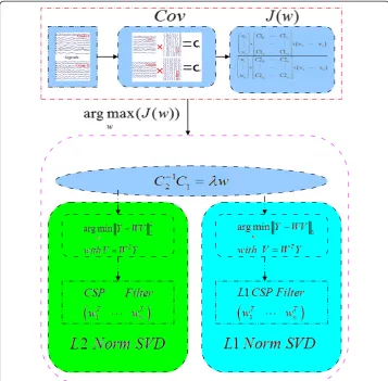 Figure 1 The flow chart for the two CSPs. The sub-procedure in the green box is for the conventionalCSP, and the sub-procedure in the blue box is for the L1-SVD-CSP.