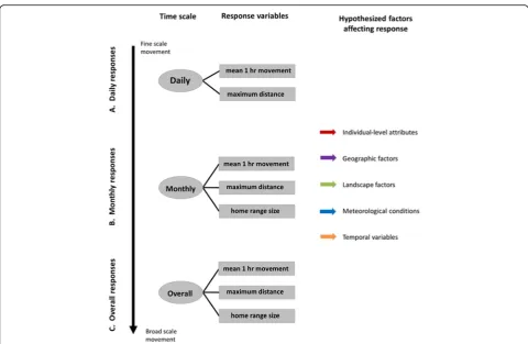 Fig. 2 Schematic illustrating the three temporal scales (circles; 1st column) analyzed from wild pig location data in the southeastern U.S.A