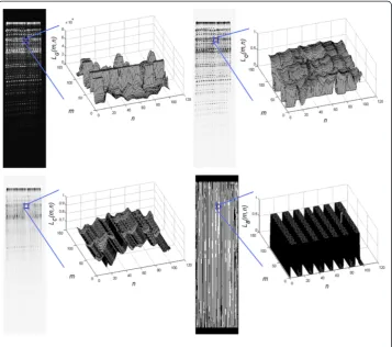 Figure 2 Gel input image and subsequent stages of the lane analysis. From the left: the inputimage LG, the image LO after filtration and normalization, and below, the image LC after opening and theimage LB which is a binary image with automatically marked 