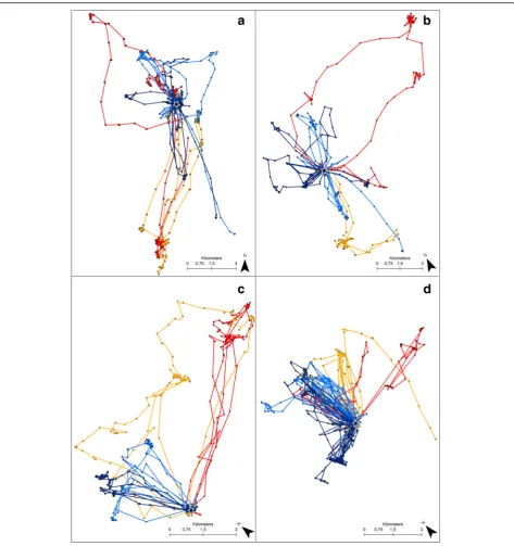 Fig. 3 GPS data sampled at 3-min frequency from a complete day of tracking of 4 random individual lesser kestrels in each phenological period:blueEstablishment (a), courtship (b), incubation (c), and nestling (d)