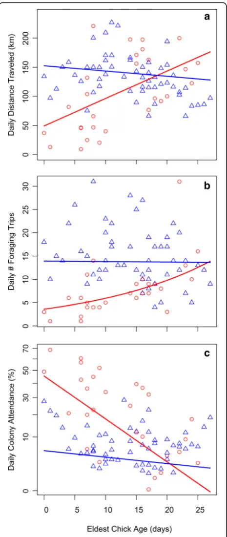 Fig. 2 Effect of the interaction between sex and eldest chick age onlesser kestrel daily distance traveled (a), daily number of foragingtrips (b), and daily colony attendance (c) during the nestling periodpredicted by GLMMs