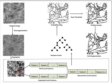 Figure 4 Overview of our method.
