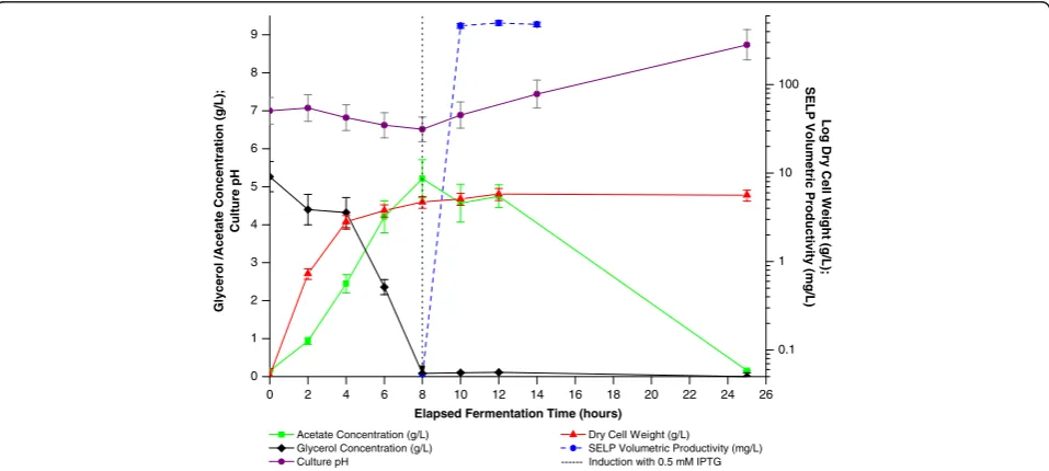 Figure 9 Ampicillin concentration, carbenicillin concentration and biomass levels as a function of the elapsed fermentation time