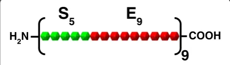Figure 1 Schematic representation of the SELP-59-A construct.The polymer contains 9 repeats of a monomeric unit which itselfconsists of 5 repeats of the silk consensus sequence GAGAGS (S5, green)linked to 9 repeats of the elastin-like sequence VPAVG (E9, r
