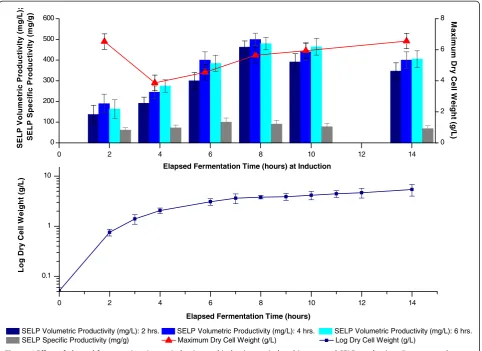 Figure 6 Effect of elapsed fermentation time at induction and induction period on biomass and SELP production