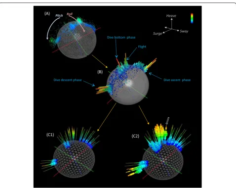 Fig. 1 Example behavioural data from a cormorant. Six dives and a short period of flight are visualised by (a) a point- based g-sphere [with pointcolour equating with DBA]