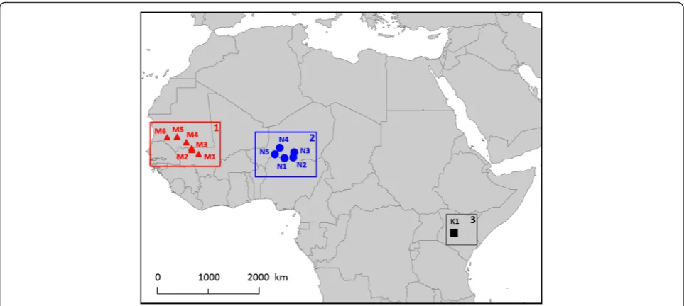 Fig. 1 Map of the study sites in sub-Saharan Africa. Area 1 represents Mauritania/Mali, area 2 represents Niger and area 3 represents Kenya