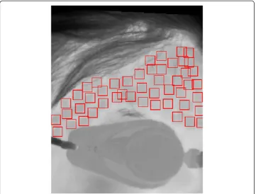 Figure 10 The result of applying the algorithm. It automatically recognizes areas subjected to forcingand marks them in red