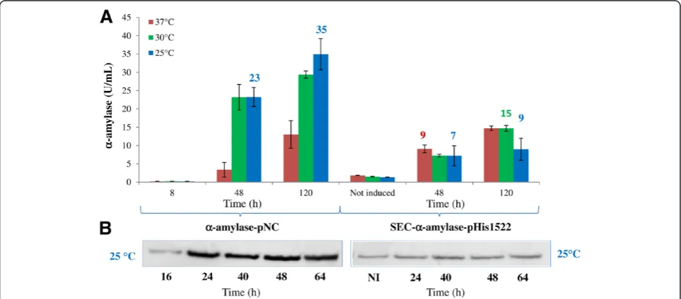 Figure 3 Time course of extracellular GFP production by-pHis1522 grown at 25°C. SEC-GFP-pHis1522 was induced with 0,5% xylose