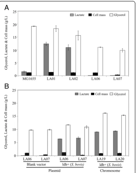 Table 1). As postulated, the expression of ldh from the