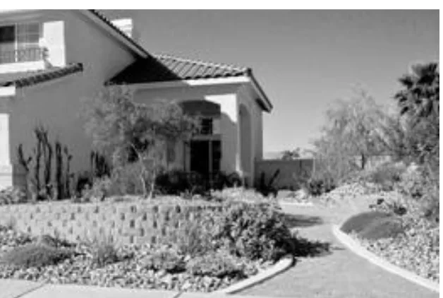Figure 3: Conversion of a Typical Residential Property From Traditional Lawn to Xeriscape (After)  The Las Vegas homeowner got a rebate for replacing 2,200 square feet of lawn with water-efficient plants