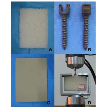 Figure 1 The pullout experimental setup configuration. A: Foam with lower density; B: CDH Ø 6.5 × 40 mmpedicle screw; C: Foam with higher density; D: Pullout test configuration.