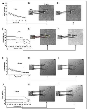 Figure 6 SURF robustness in adverse image conditions. (A) Mean amount of good matches (black line)and 95% CI (dashed lines) at different bluring