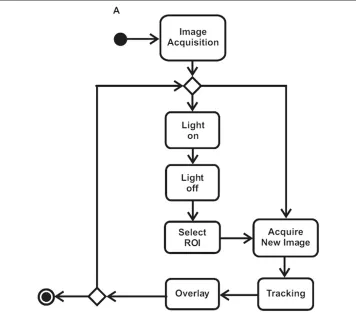 Figure 1 UML activity diagram. The first step of the diagram is the acquisition of frames (30 fps) from thecamera that is coupled to the microscope