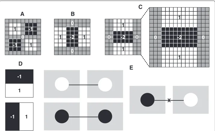 Figure 2 Filters and types of matching used by SURF. (A), (B), and (C) Approximation of Gaussian secondorder partial derivatives using box filters: Dxy in xy-direction, Dxx in x-direction and y-direction in Dyy,respectively, with increased kernel size from