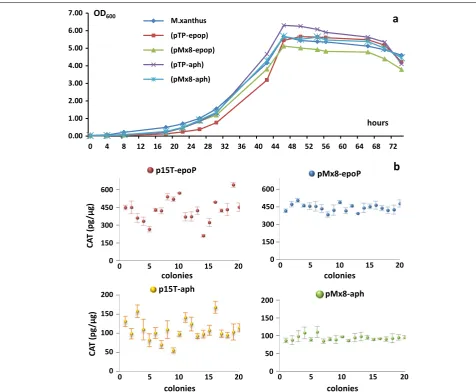 Figure 1 Growth and CAT activities of M. xanthus transformants integrated from the plasmids pTP‑epoP, pMx8‑epop, pTP‑aph or pMx8‑aph
