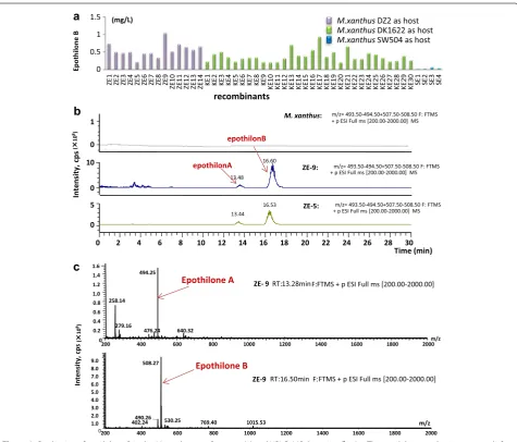 Figure 3 Production of epothilone B in the M. xanthus transformants (a) and HPLC–MS detection (b, c)