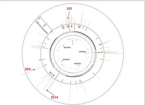 Figure 4 Distribution of the integration sites of the epothilone genes (the small triangles inside the red ring; all inserted clockwise) and the produc‑tion abilities (the small bars outside the red ring) in 48 epothilone producing recombinants, mapping on