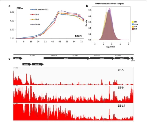 Figure 5 Transcriptomes of M. xanthus DZ2 and three recombinants with insertions of epothilone biosynthetic genes