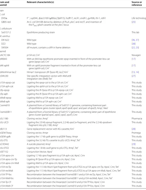 Table 1 Bacterial strains and plasmids used in this study