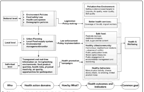 Fig. 4 Strategy at national, local and individual level for health and better life