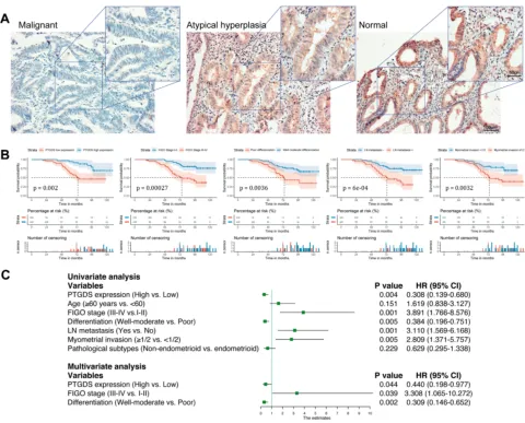 Table 2 PTGDS Expression in 116 Cases of Endometrial Tissues