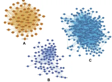 Figure 4 (A–C) Gene co-expression networks of the dark orange, midnight blue, and blue modules visualized by Cytoscape