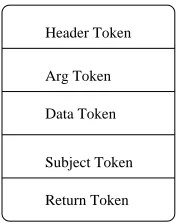 Figure 5.2: Layout of a typical audit record