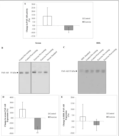 Fig. 4 Changes in PAF-AH activity and protein expression in response to the intervention