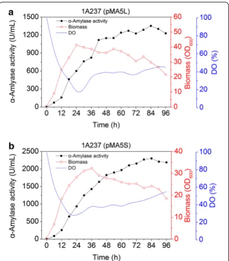Figure 6 Production of α-amylase in recombinant strain 1A237 by fed-batch fermentation in 7.5 L fermentor