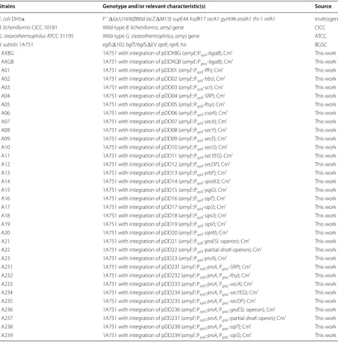 Table 1 Strains used in this study