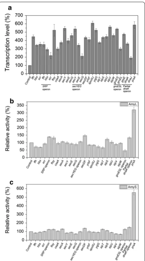 Figure 2 Overexpression of single component involved in Sec pathway in B. subtilis. a The transcriptional levels of 23 genes or gene operons in 23 corresponding recombinant strains, respectively