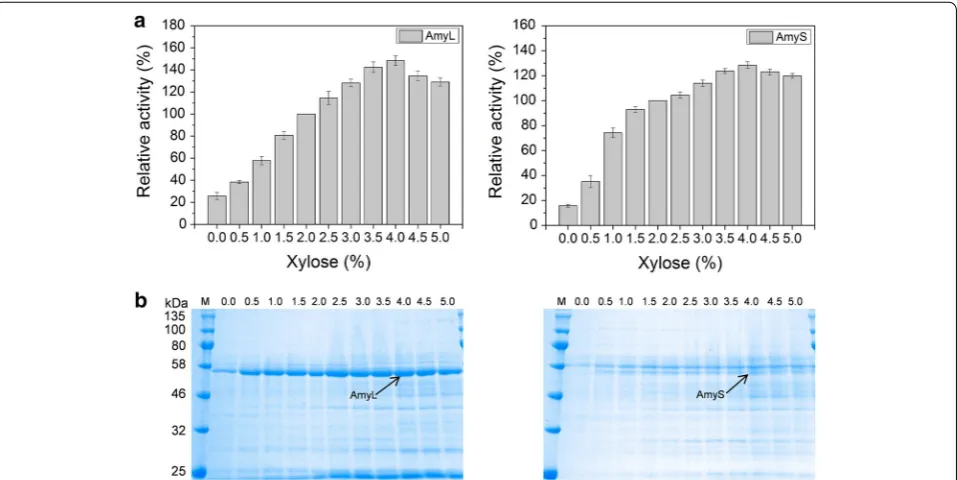 Figure 3 Optimization of PrsA overexpression level in B. subtilis. 1A23 (pMA5L) and 1A23 (pMA5S) were grown in SR medium supplemented with xylose of different concentrations [0, 0.5, 1.0, 1.5, 2.0, 2.5, 3.0, 3.5, 4.0, 4.5 and 5.0 % (w/v)]