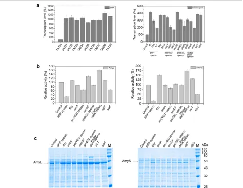 Figure 4 Overexpression of PrsA combined with the screened components in B. subtilis. a The transcriptional levels of the genes or gene operons in B
