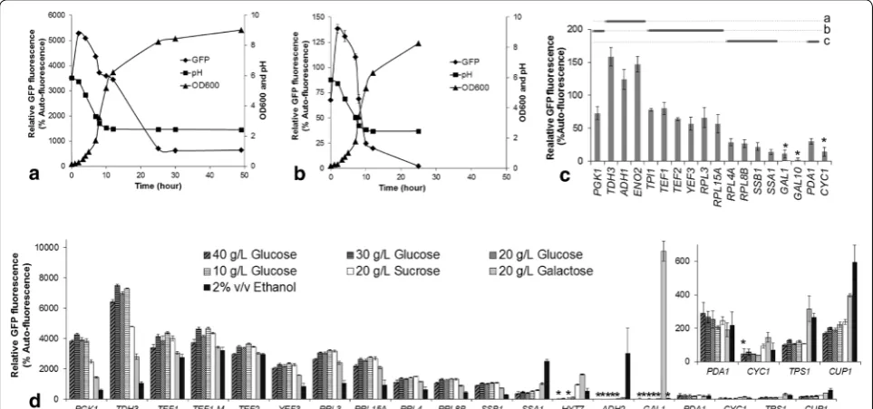 Figure 1 GFP activity driven by different promoters on different carbon sources. GFP fluorescence, culture pH and biomass accumulation (ODcence (of the 600) PTEF1-yEGFP strain (a) and the PTEF1-yEGFP-CLN2PEST strain (b) in flask batch cultivation in YNB br