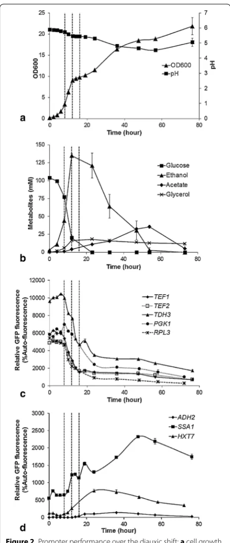 Figure 2 Promoter performance over the diauxic shift: a cell growth and pH of the reference strain ILHA GH4; b the profile of extracel-lular metabolites