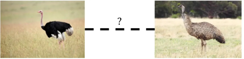 Figure 4: Direct quantitative query vs. relative query