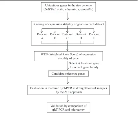Fig. 1 Schematic workflow used for reference gene identification. Expression of genes from four gene families were mined from five differentmicroarray datasets (definitions of the datasets shown in Additional file 2: Table S1)