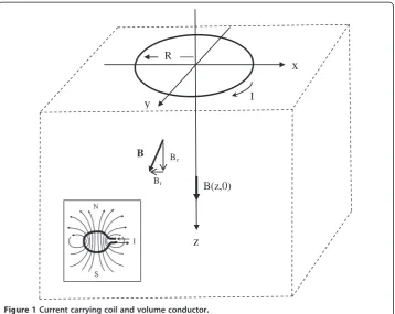 Figure 1 Current carrying coil and volume conductor.