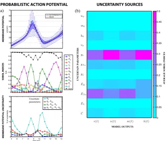 Fig. 1 a The top panela shows the probabilistic membrane potential, distributions are indicated bybox-and-whiskers plots at each time instant