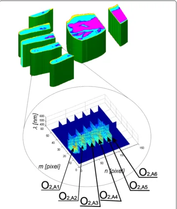 Figure 7 Result of segmentation for individual wavelengths. The sample finger (V2) was divided intosix areas from O2,A1 to O2,A6 for the left side and from O2,B1 to O2,B6 for the right side