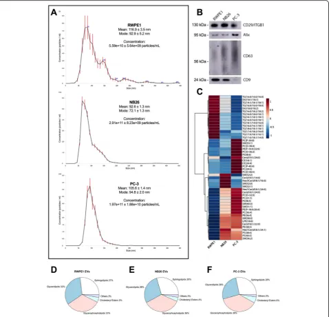Fig. 1 EVs from tumourigenic cell lines have differences in molecular lipid composition compared to EVs from non-tumourigenic cells.blot using 1 × 10 a NTAcharacterisation of EVs size distribution and concentration